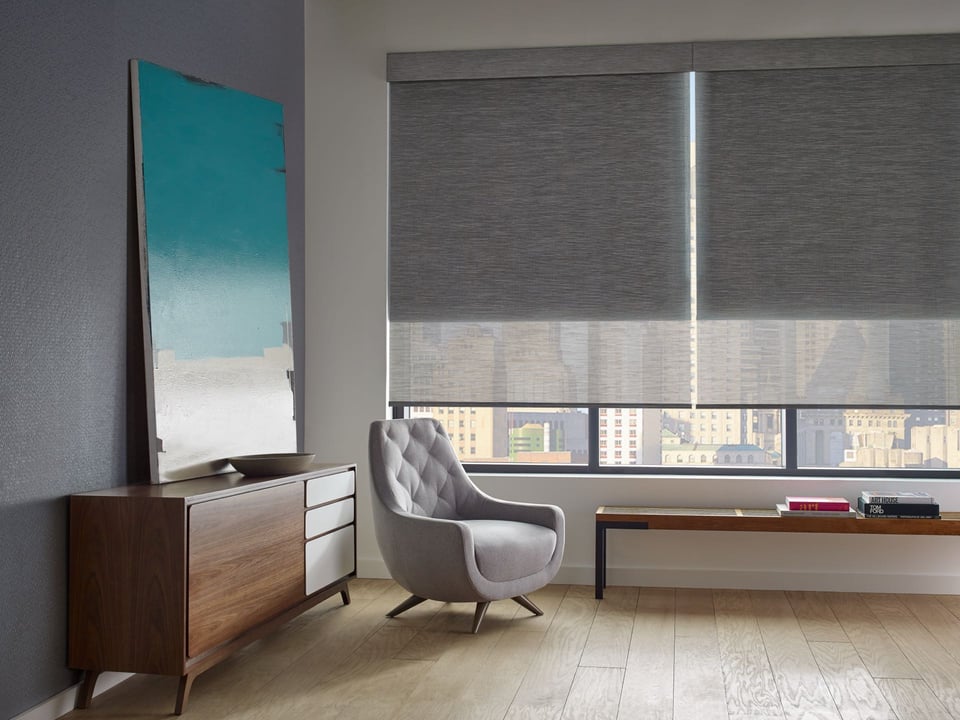 Designer Roller Duolite shades