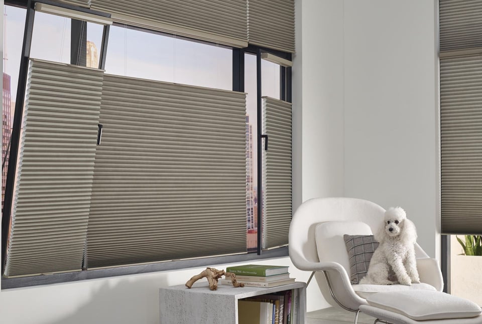 Duette Honeycomb Shades with top-down bottom-up in bedroom